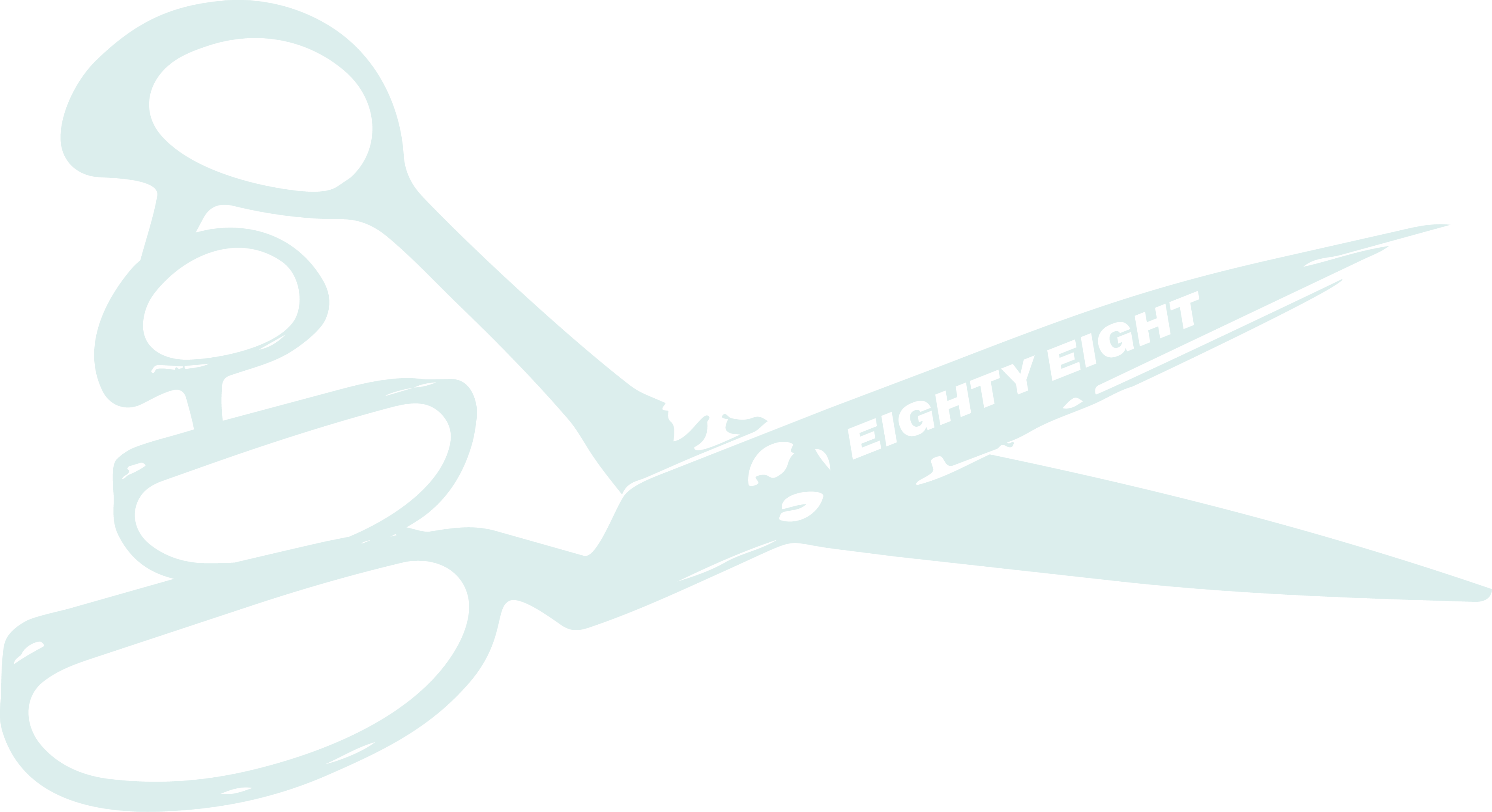eighty_eight_88_website__website_logo_light_blue